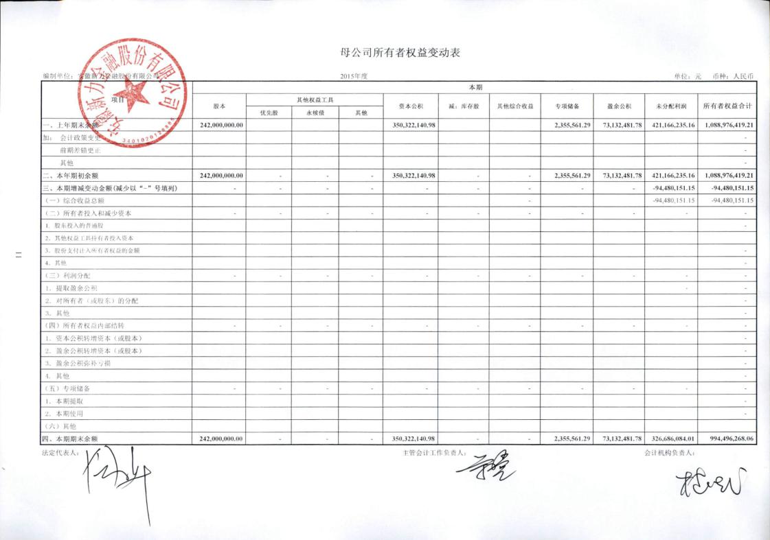 新力金融:2015年度重述审计报告